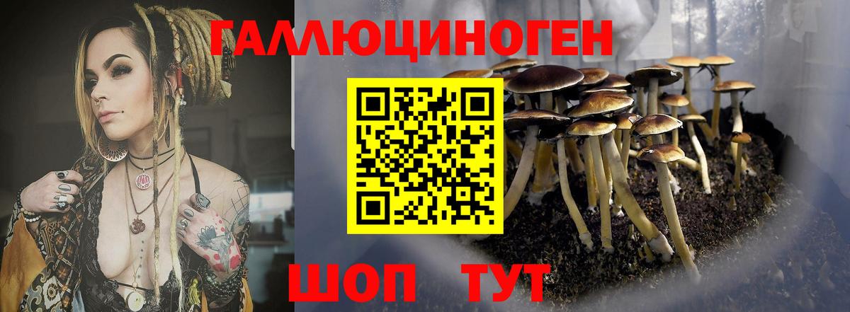 Псилоцибиновые грибы Psilocybe  Вход с VPN  Каспийск 
